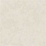 Линолеум Tarkett коллекция Philosophy/Философия цвет: Concrete 3 11570