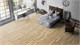 SPC плитка Tarkett Funky House цвет: BOB 11366 - фото 1917